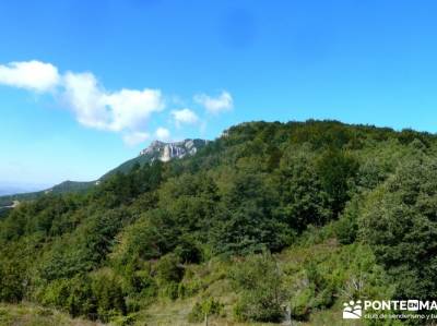 Hayedos Rioja Alavesa- Sierra Cantabria- Toloño;viajes junio floracion jerte viajes enero